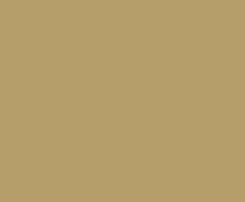 Dicor TPO RV Roof Membrane - 4.5 ft x 16 ft, Tan – DFII46T-16