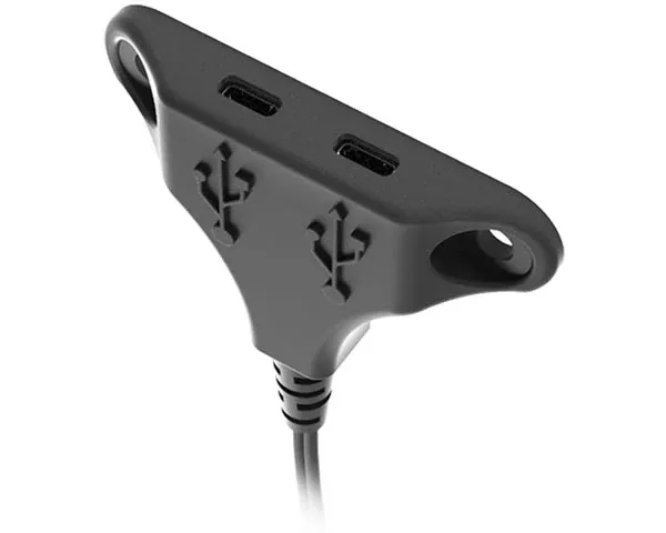 Dual USB-C Stingray