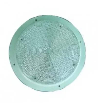 Security/Utility Light